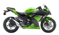 Verkleidung Kawasaki Ninja ZX300R 13-18