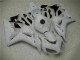 CBR 1000 RR 04-05 Motorrad Verkleidung - Weiß CBR 1000 RR 04-05 Motorrad Verkleidung - Weiß