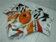 CBR 1000 RR 04-05 Motorrad Verkleidungen - Orange Weiß Repsol CBR 1000 RR 04-05 Motorrad Verkleidungen - Orange Weiß Repsol