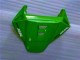 CBR 1000 RR 06-07 Motorrad Verkleidungen - Grün CBR 1000 RR 06-07 Motorrad Verkleidungen - Grün