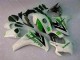 CBR 1000 RR 08-11 Motorrad Vollverkleidung - Grün Weiß CBR 1000 RR 08-11 Motorrad Vollverkleidung - Grün Weiß