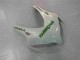 CBR 1000 RR 08-11 Motorrad Vollverkleidung - Grün Weiß CBR 1000 RR 08-11 Motorrad Vollverkleidung - Grün Weiß