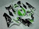 CBR 600 RR 05-06 Motorrad Verkleidung - Grün CBR 600 RR 05-06 Motorrad Verkleidung - Grün