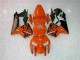 CBR 600 RR 05-06 Motorrad Verkleidungen - Orange