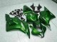 CBR 600 RR 09-12 Motorrad Verkleidungen - Grün CBR 600 RR 09-12 Motorrad Verkleidungen - Grün