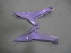 Kawasaki Ninja 650 EX650 Motorrad Verkleidung 2020-2024 - Chameleon Grau Dazz Perl Lila