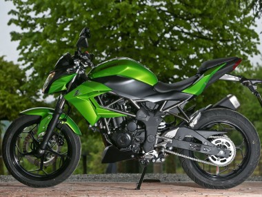 Kawasaki Z250/Z300 Motorrad Verkleidung 2015-2016 - Grun Matt Schwarz