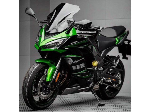Kawasaki Z1000SX Motorrad Verkleidung 2020-2025 - Schwarz Grun Ninja