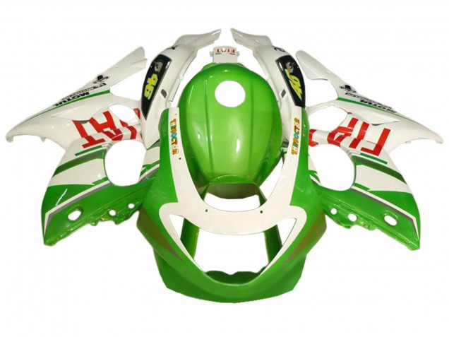 Yamaha YZF600R Thundercat Motorrad Verkleidung 1996-2007 - Weiss Grun Fiat
