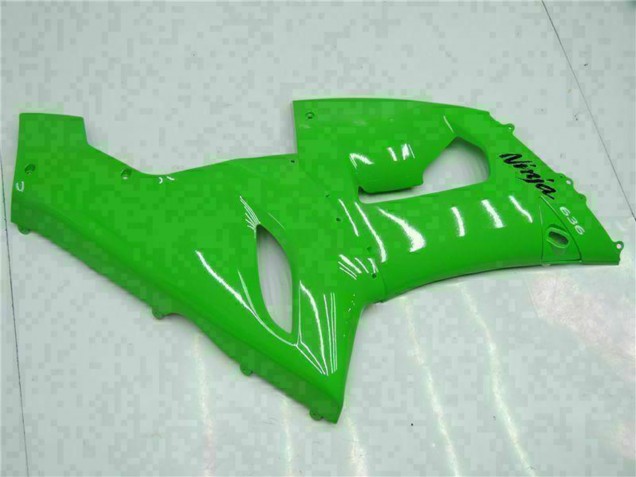 Kawasaki ZX6R Motorrad Verkleidung 2005-2006 - Grun
