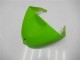 Kawasaki ZX6R Motorrad Verkleidung 2005-2006 - Grun Glanzendes Schwarz Elf