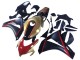 Honda CBR1000RR Motorrad Verkleidung 2008-2011 - Gold Rot Glanzendes Schwarz