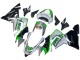 Kawasaki ZX10R Motorrad Verkleidung 2004-2005 - Grun Silber Schwarz 69