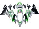Kawasaki ZX10R Motorrad Verkleidung 2004-2005 - Grun Silber Schwarz 69