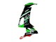 Kawasaki ZX10R Motorrad Verkleidung 2008-2010 - Grun Weiss Rot Schwarz Monster Elf 66