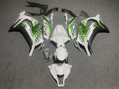 Kawasaki ZX10R Motorrad Verkleidung 2011-2015 - Weiss Grun Matt Schwarz