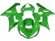 Kawasaki ZX6R Motorrad Verkleidung 2005-2006 - Grun