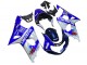 Suzuki GSXR1000 Motorrad Verkleidung 2000-2002 - Blau Weiss Silber Castrol Dunlop