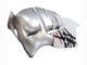 Suzuki GSXR 1300 Hayabusa Motorrad Verkleidung 1996-2007 - Weiss Silber Hayabusa