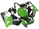 Kawasaki ZX12R Motorrad Verkleidung 2002-2006 - Grun Glanzendes Schwarz Elf Touch4 Monster