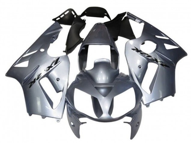Kawasaki ZX12R Motorrad Verkleidung 2000-2001 - Silber
