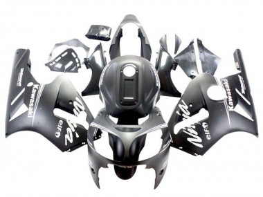 Kawasaki ZX12R Motorrad Verkleidung 2002-2006 - Matt Schwarz Weiss