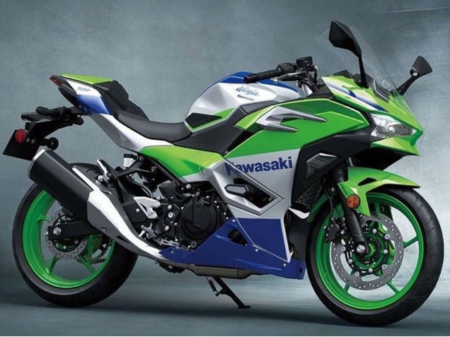 Kawasaki Ninja 500 EX500R Motorrad Verkleidung 2024-2025 - Silber Grun Blau