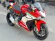 Ducati Supersport 939/939S Motorrad Verkleidung 2017-2022 - Rot Weiss Grun Streifen