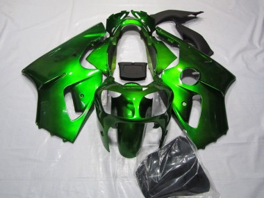 Kawasaki ZX12R Motorrad Verkleidung 2002-2006 - Grun