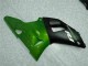 R1 00-01 Motorrad Verkleidungen - Grün R1 00-01 Motorrad Verkleidungen - Grün