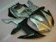 R1 02-03 Motorrad Verkleidung - Silber R1 02-03 Motorrad Verkleidung - Silber