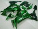 ZX10R 08-10 Motorrad Verkleidungen - Grüne Flamme ZX10R 08-10 Motorrad Verkleidungen - Grüne Flamme