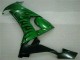 ZX10R 08-10 Motorrad Verkleidungen - Grüne Flamme ZX10R 08-10 Motorrad Verkleidungen - Grüne Flamme