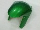 ZX10R 08-10 Motorrad Verkleidungen - Grüne Flamme ZX10R 08-10 Motorrad Verkleidungen - Grüne Flamme