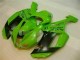 ZX6R 07-08 Motorrad Verkleidungen - Grün Schwarzer Dunlop ZX6R 07-08 Motorrad Verkleidungen - Grün Schwarzer Dunlop
