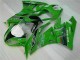 ZX6R 09-12 Motorrad Verkleidungen - Grün Schwarzer LeoVince ZX6R 09-12 Motorrad Verkleidungen - Grün Schwarzer LeoVince